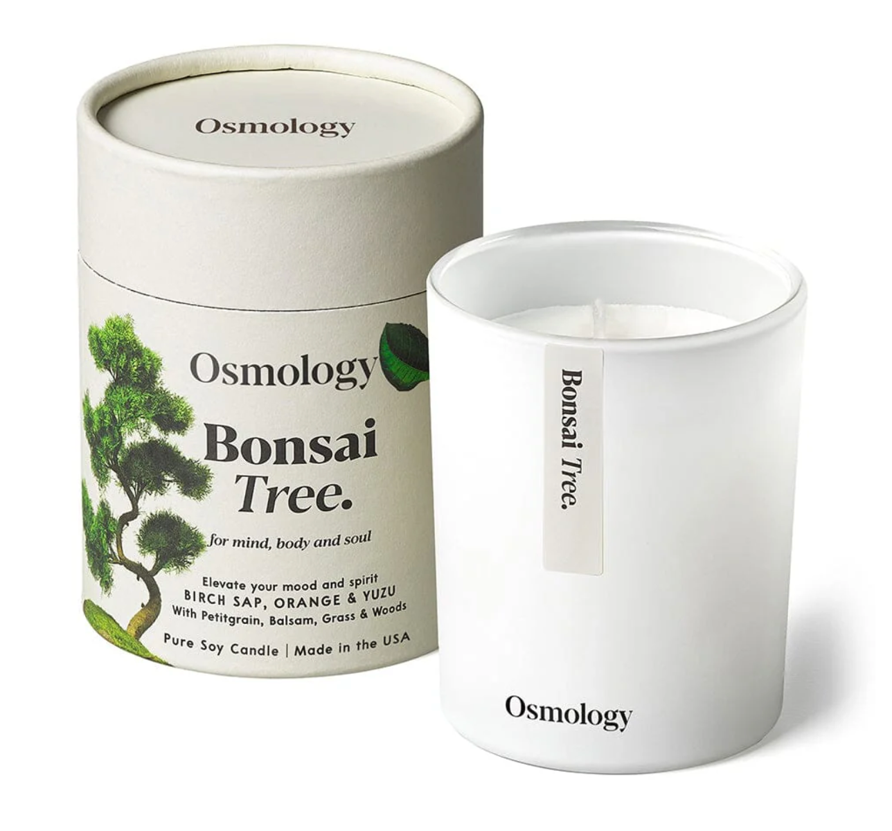candle tree bonsai Bonsai Tree Candle | 7 oz – L A R K